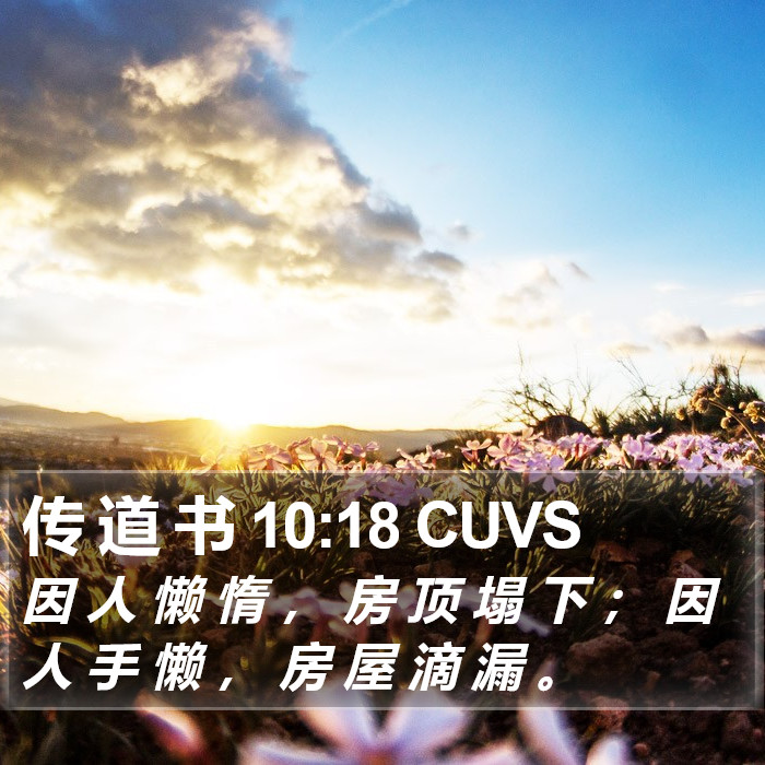 传 道 书 10:18 CUVS Bible Study