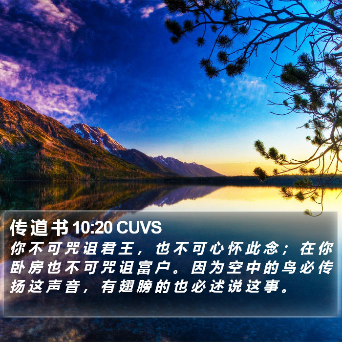 传 道 书 10:20 CUVS Bible Study