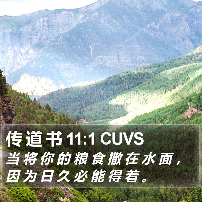 传 道 书 11:1 CUVS Bible Study