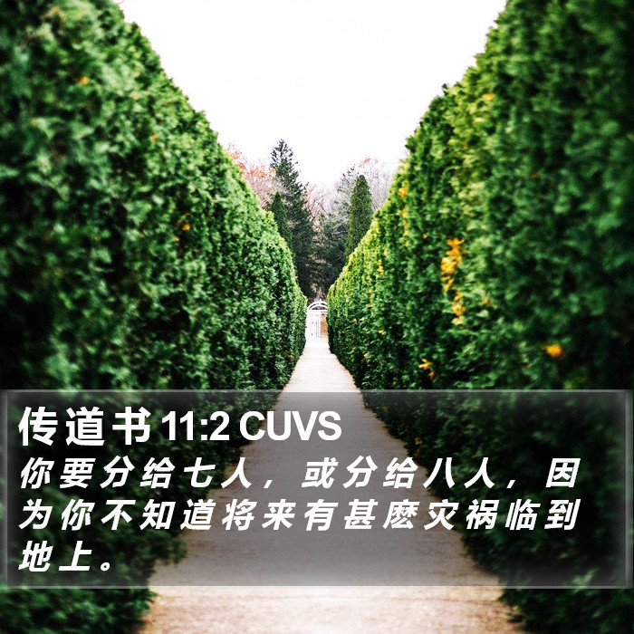 传 道 书 11:2 CUVS Bible Study