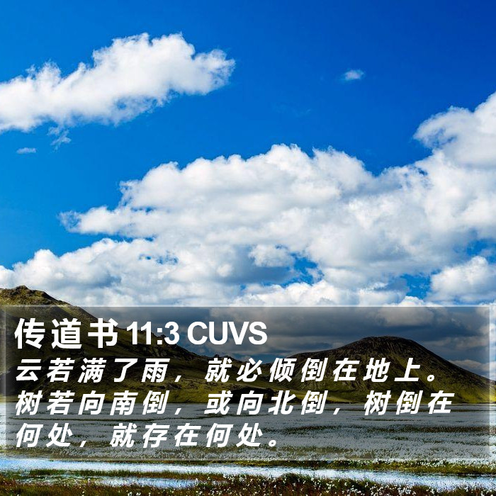 传 道 书 11:3 CUVS Bible Study