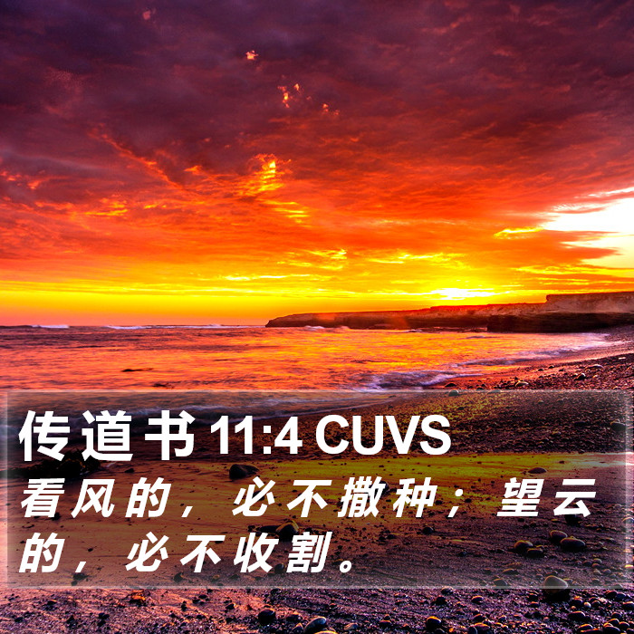 传 道 书 11:4 CUVS Bible Study