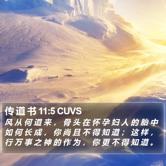 传 道 书 11:5 CUVS Bible Study