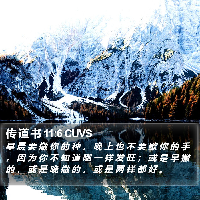 传 道 书 11:6 CUVS Bible Study