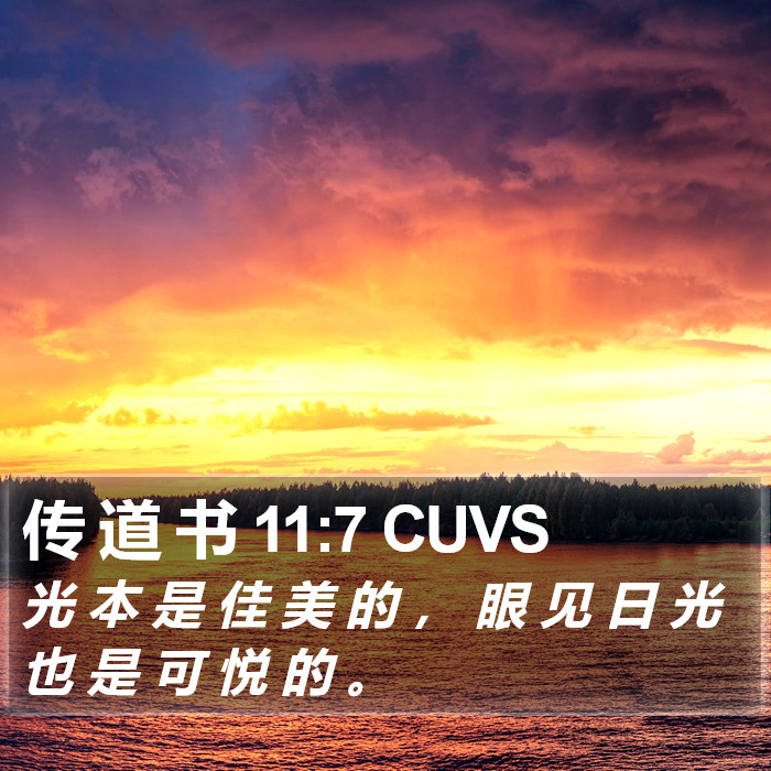 传 道 书 11:7 CUVS Bible Study