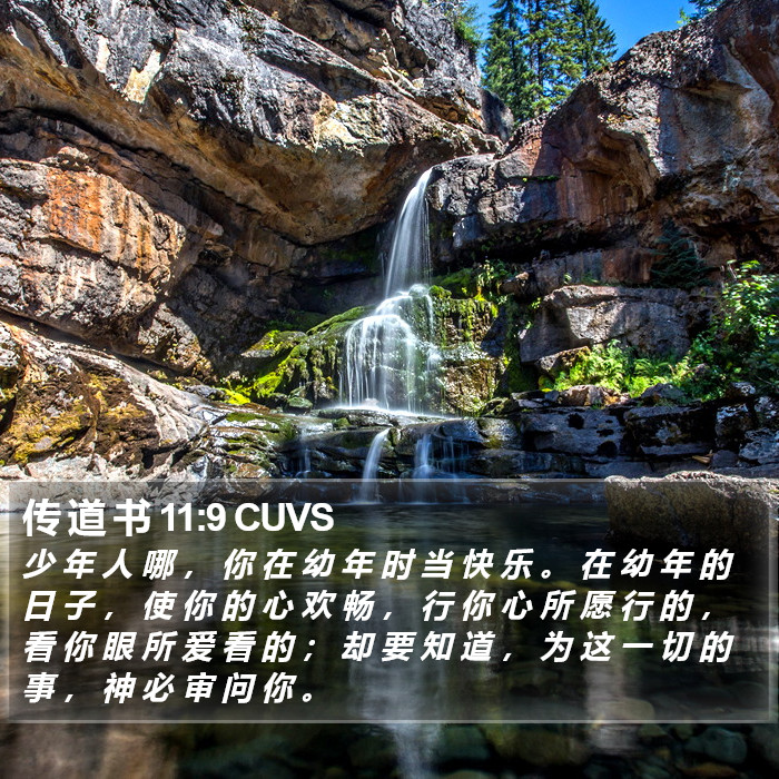 传 道 书 11:9 CUVS Bible Study