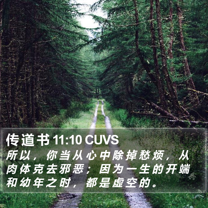 传 道 书 11:10 CUVS Bible Study