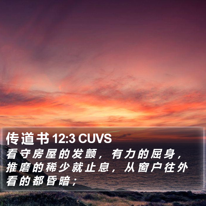 传 道 书 12:3 CUVS Bible Study