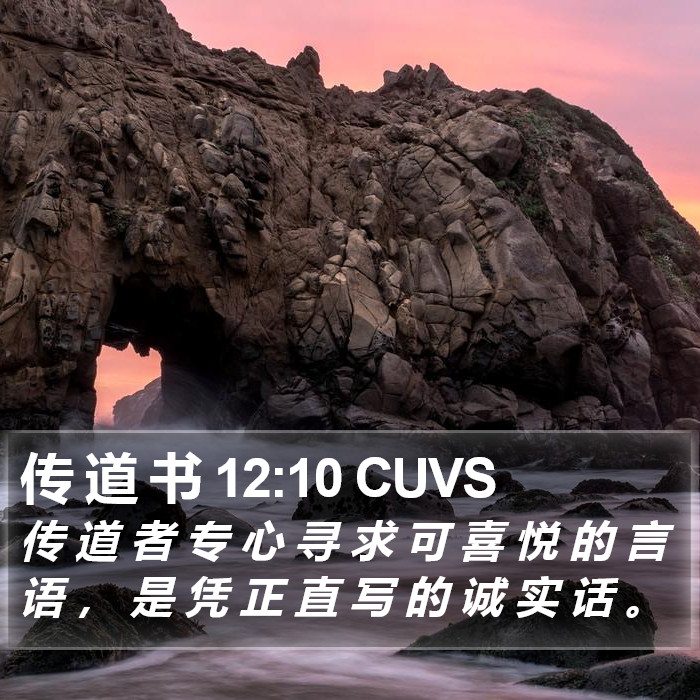 传 道 书 12:10 CUVS Bible Study