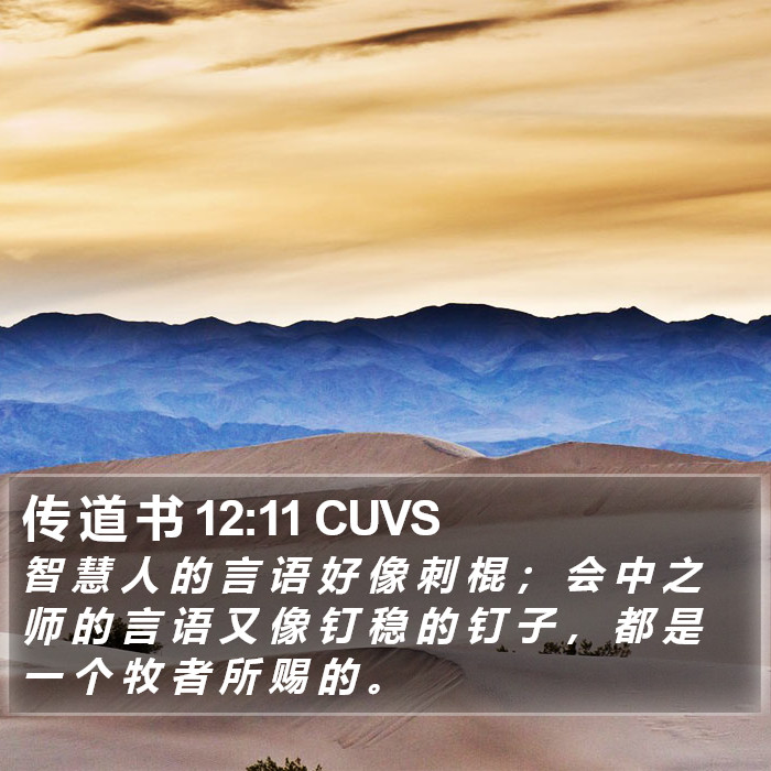 传 道 书 12:11 CUVS Bible Study