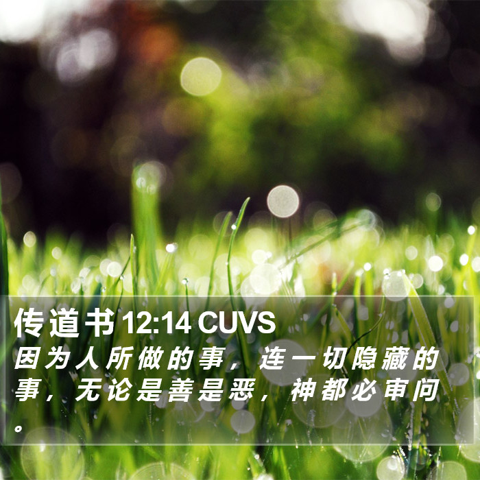 传 道 书 12:14 CUVS Bible Study