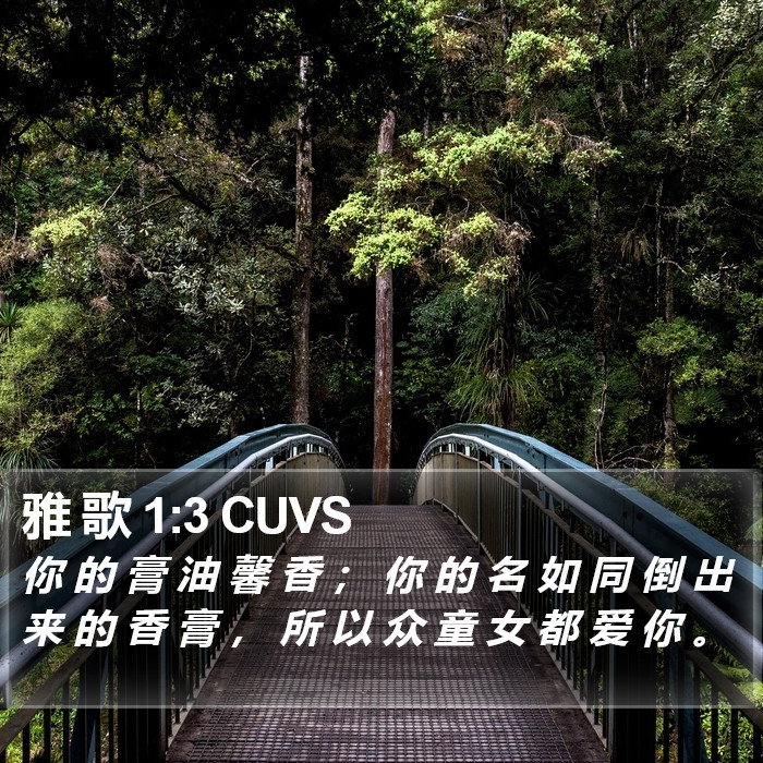 雅 歌 1:3 CUVS Bible Study