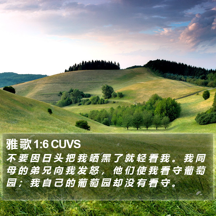 雅 歌 1:6 CUVS Bible Study