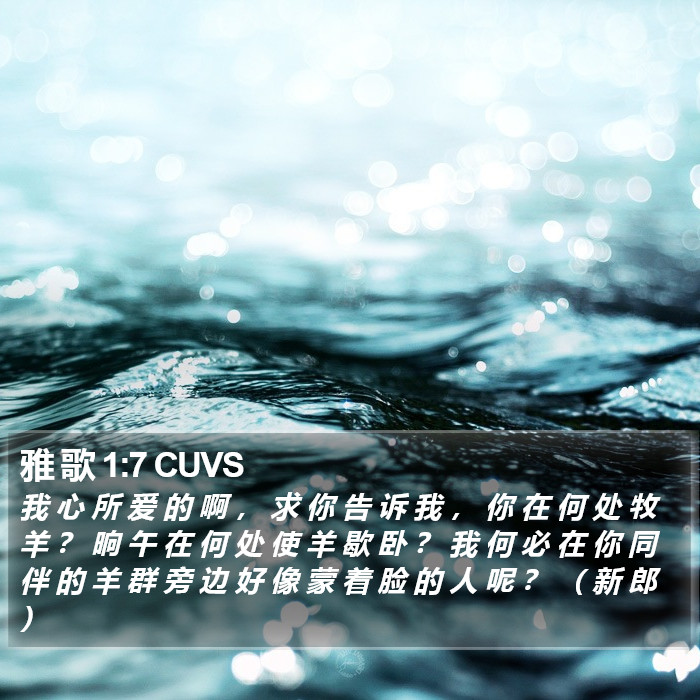 雅 歌 1:7 CUVS Bible Study