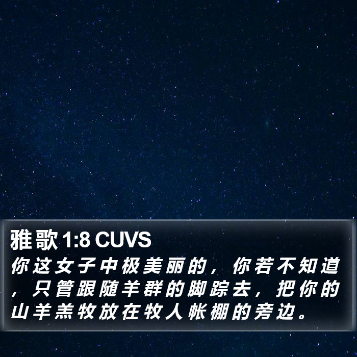 雅 歌 1:8 CUVS Bible Study