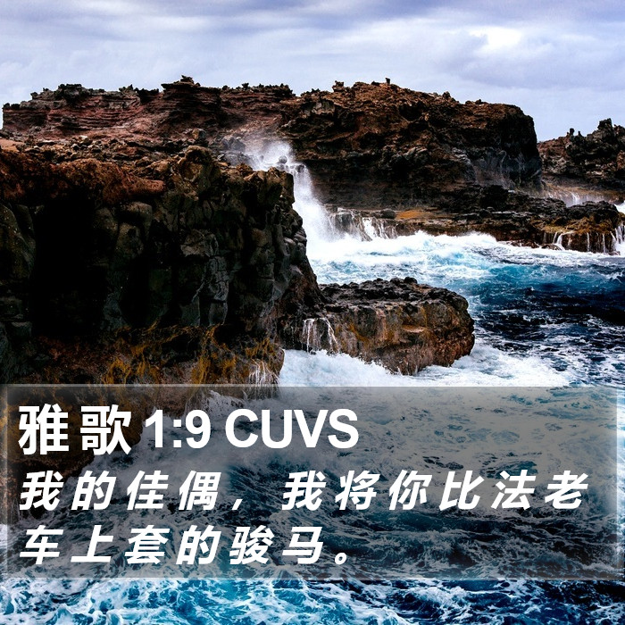 雅 歌 1:9 CUVS Bible Study