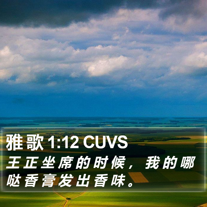 雅 歌 1:12 CUVS Bible Study