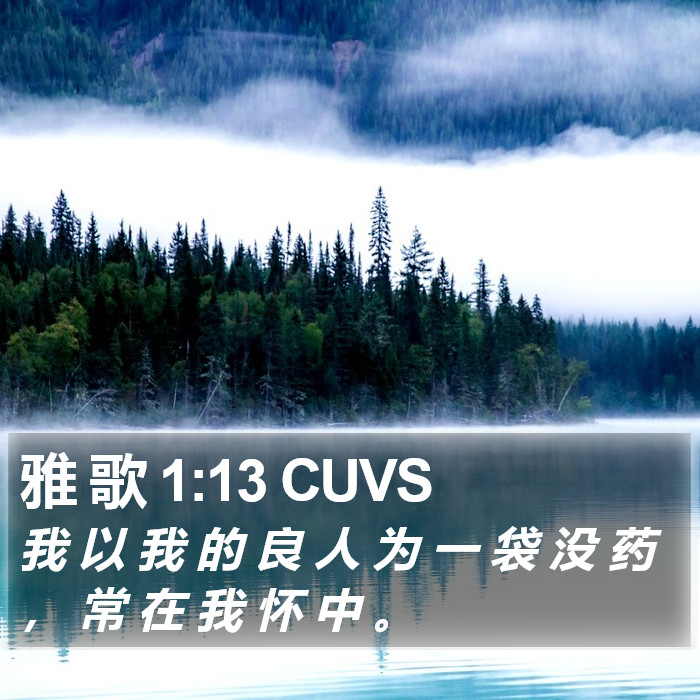 雅 歌 1:13 CUVS Bible Study