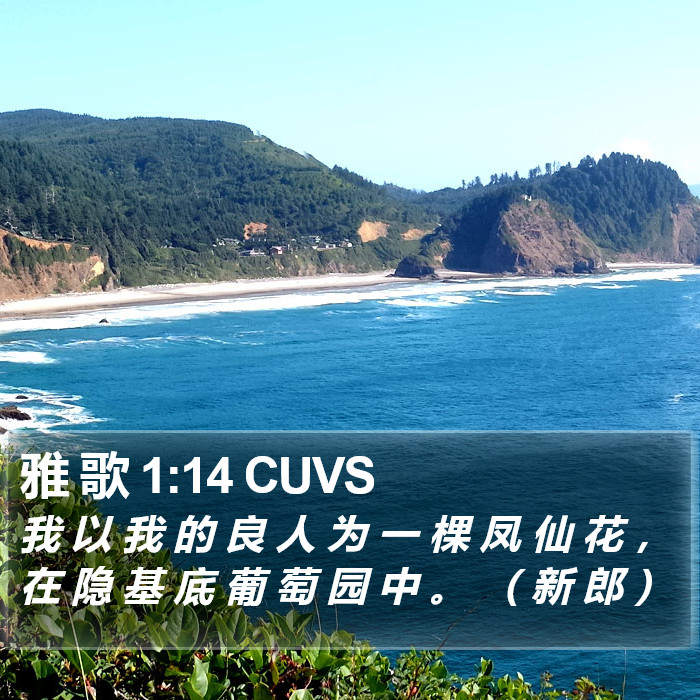 雅 歌 1:14 CUVS Bible Study