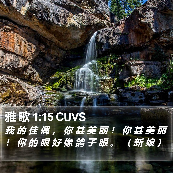 雅 歌 1:15 CUVS Bible Study