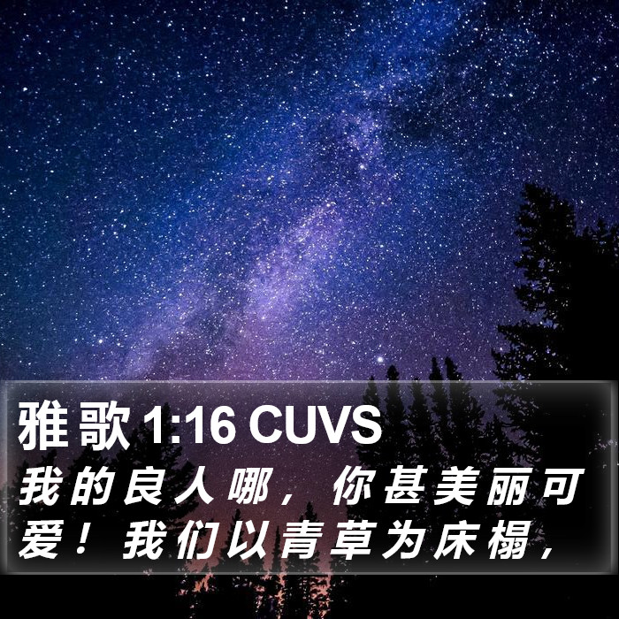 雅 歌 1:16 CUVS Bible Study