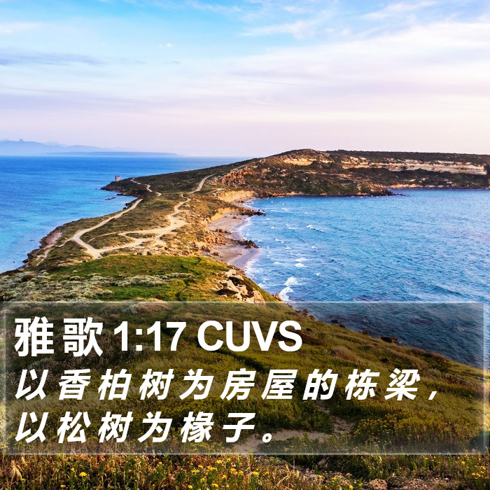 雅 歌 1:17 CUVS Bible Study