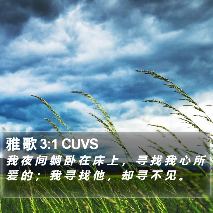 雅 歌 3:1 CUVS Bible Study