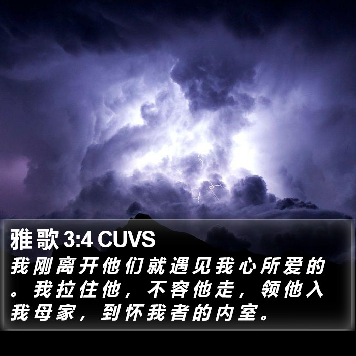 雅 歌 3:4 CUVS Bible Study