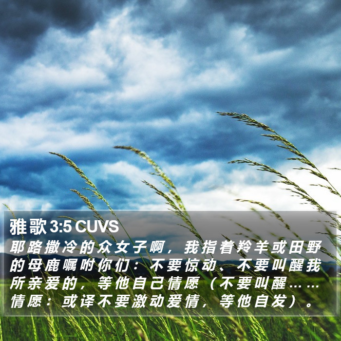 雅 歌 3:5 CUVS Bible Study