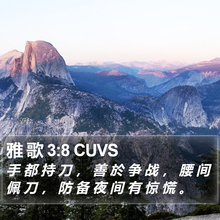 雅 歌 3:8 CUVS Bible Study