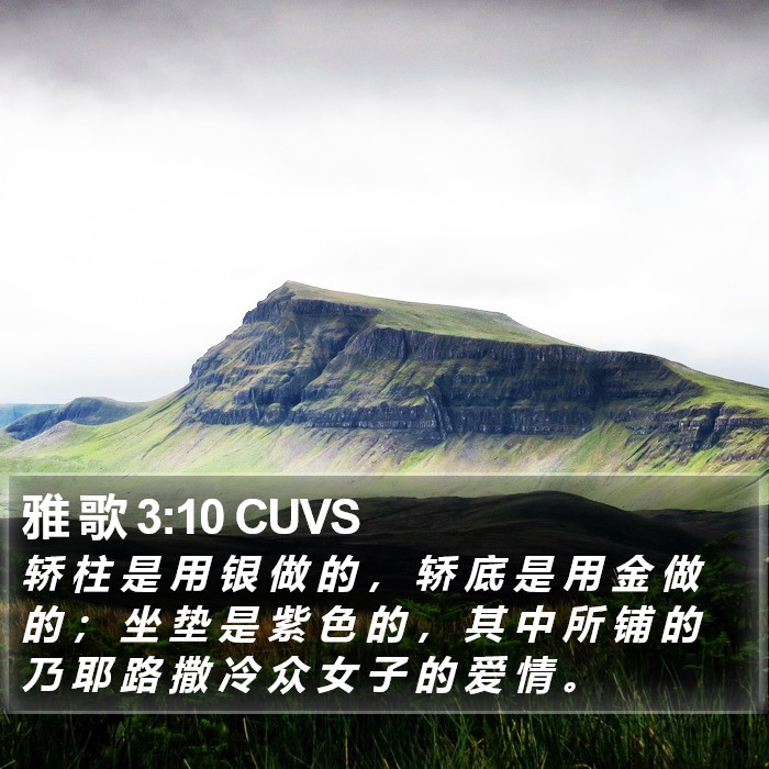 雅 歌 3:10 CUVS Bible Study