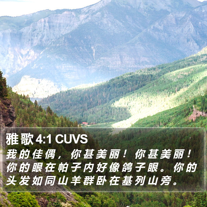 雅 歌 4:1 CUVS Bible Study