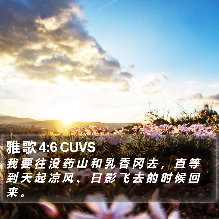 雅 歌 4:6 CUVS Bible Study