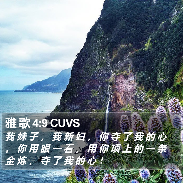 雅 歌 4:9 CUVS Bible Study