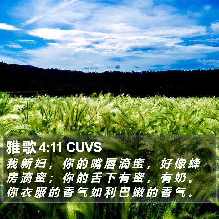 雅 歌 4:11 CUVS Bible Study