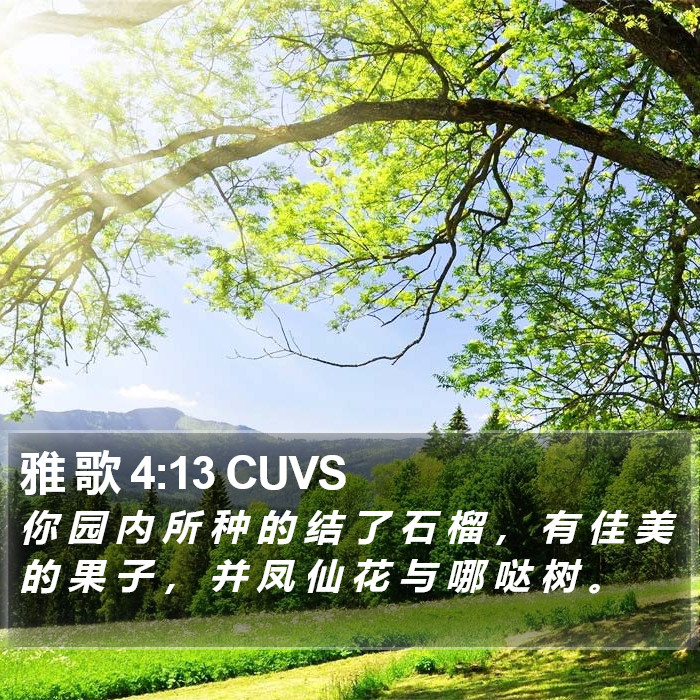 雅 歌 4:13 CUVS Bible Study