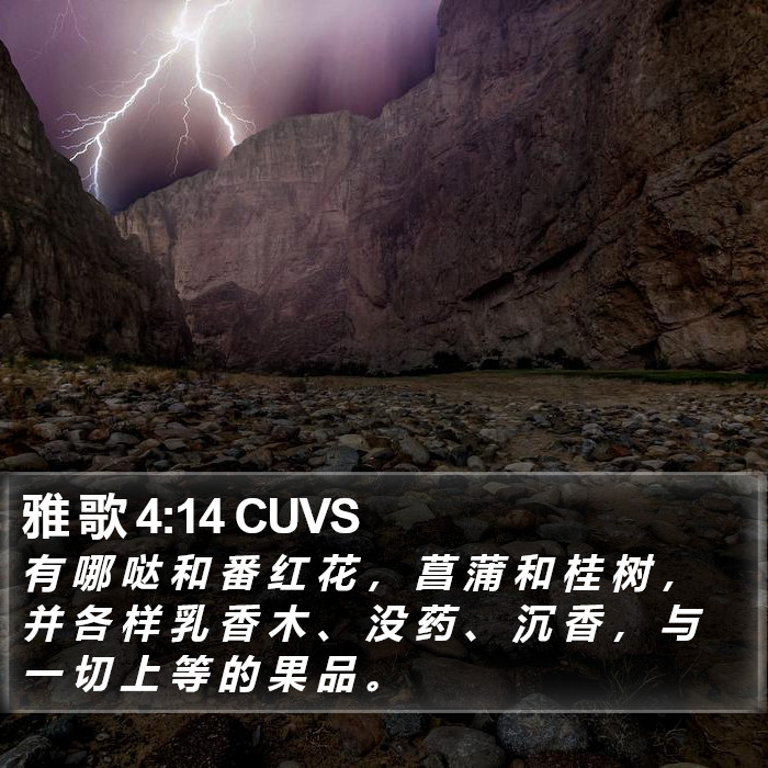 雅 歌 4:14 CUVS Bible Study