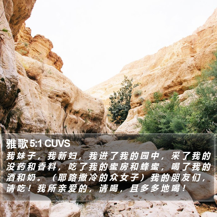 雅 歌 5:1 CUVS Bible Study