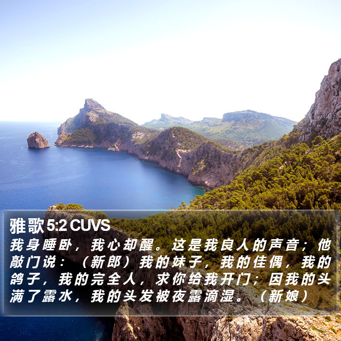 雅 歌 5:2 CUVS Bible Study