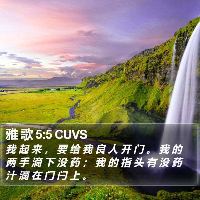 雅 歌 5:5 CUVS Bible Study