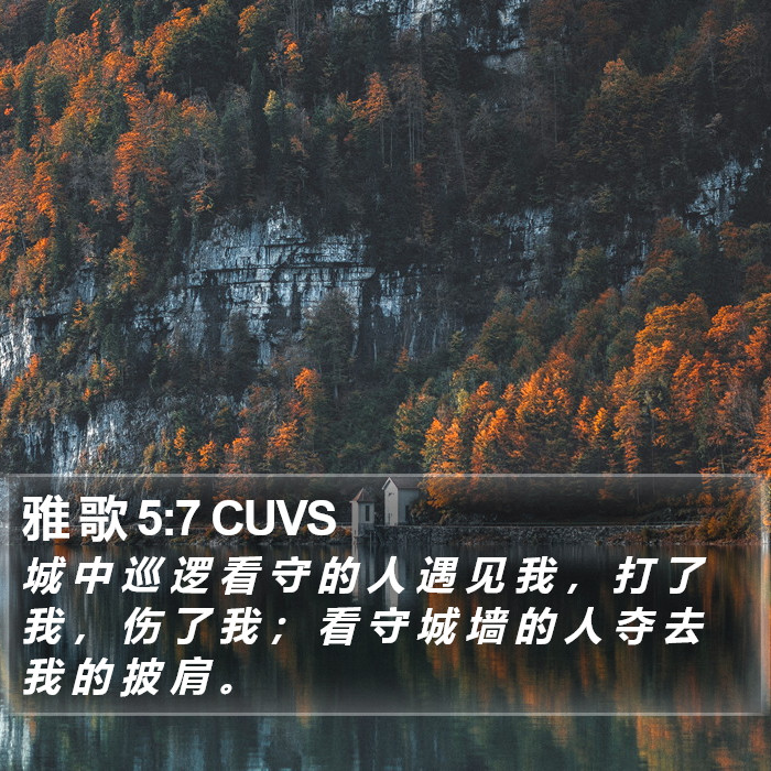 雅 歌 5:7 CUVS Bible Study