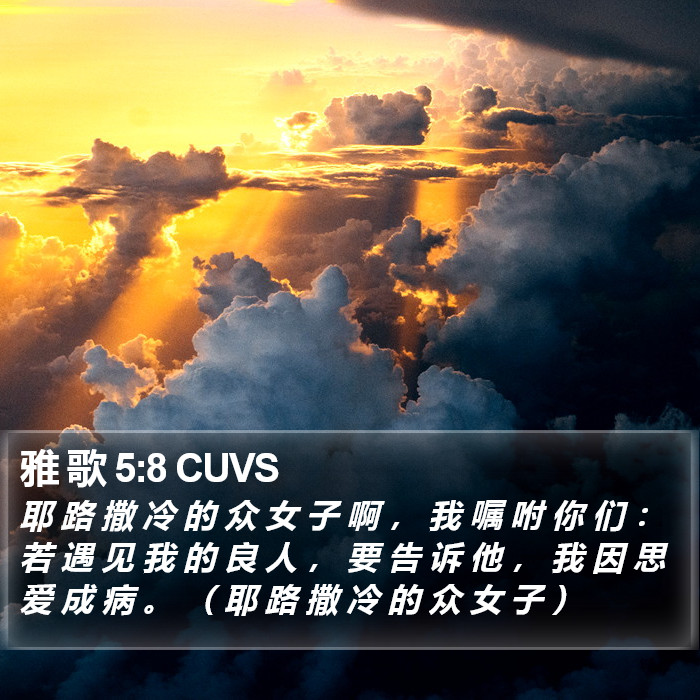 雅 歌 5:8 CUVS Bible Study