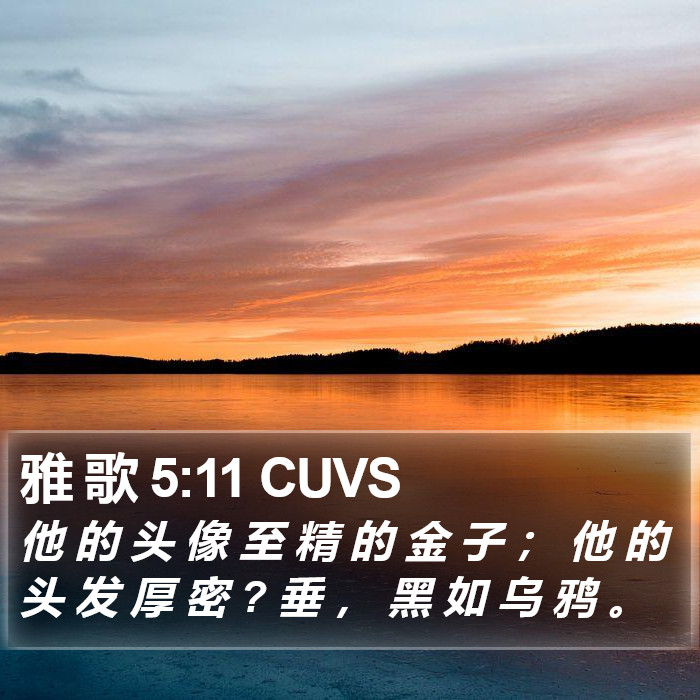 雅 歌 5:11 CUVS Bible Study