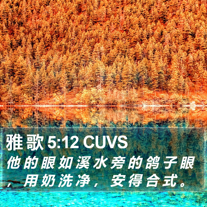 雅 歌 5:12 CUVS Bible Study