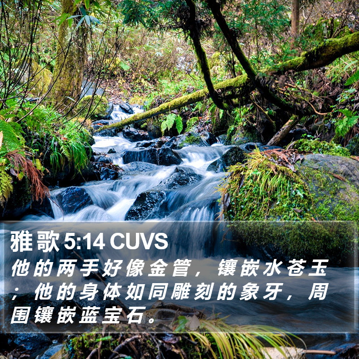 雅 歌 5:14 CUVS Bible Study