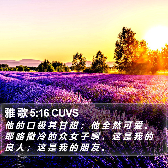 雅 歌 5:16 CUVS Bible Study