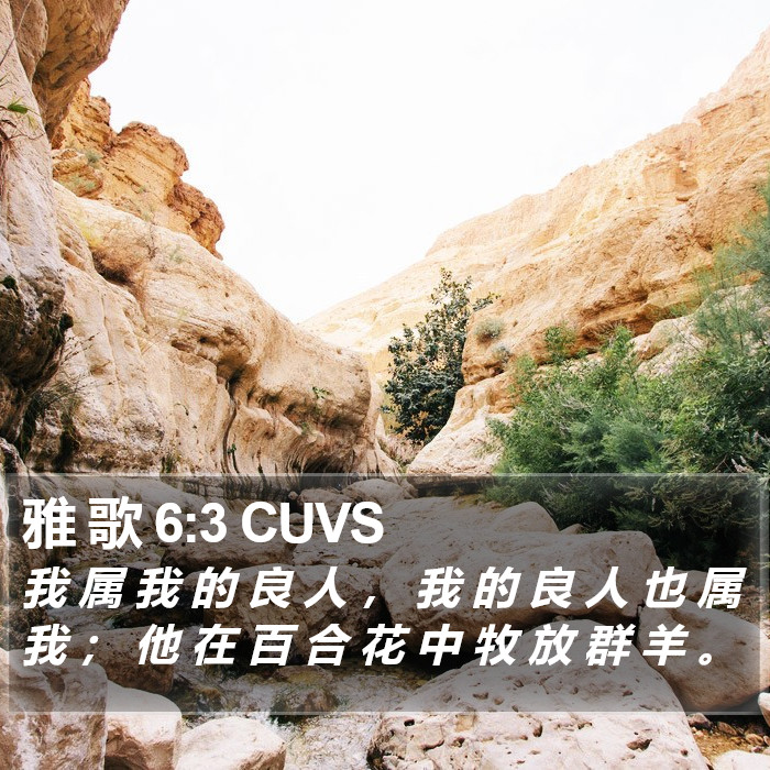 雅 歌 6:3 CUVS Bible Study