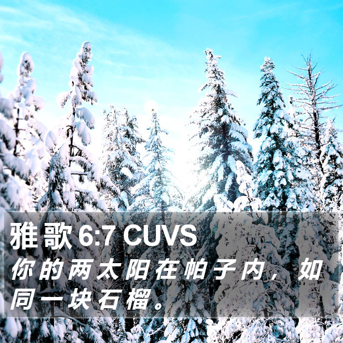雅 歌 6:7 CUVS Bible Study