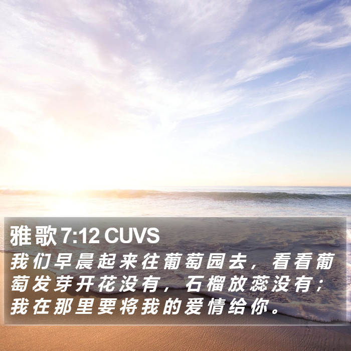 雅 歌 7:12 CUVS Bible Study