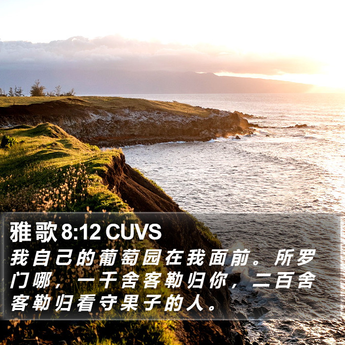 雅 歌 8:12 CUVS Bible Study
